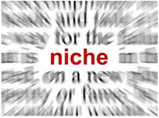 تخصيص الموقع Niche